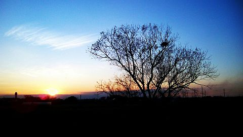 冬の田舎の夕日の画像(プリ画像)