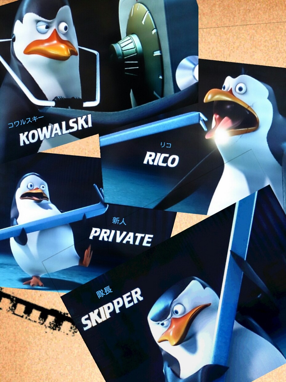 最も人気のある ペンギンズ 壁紙 Suakabegami