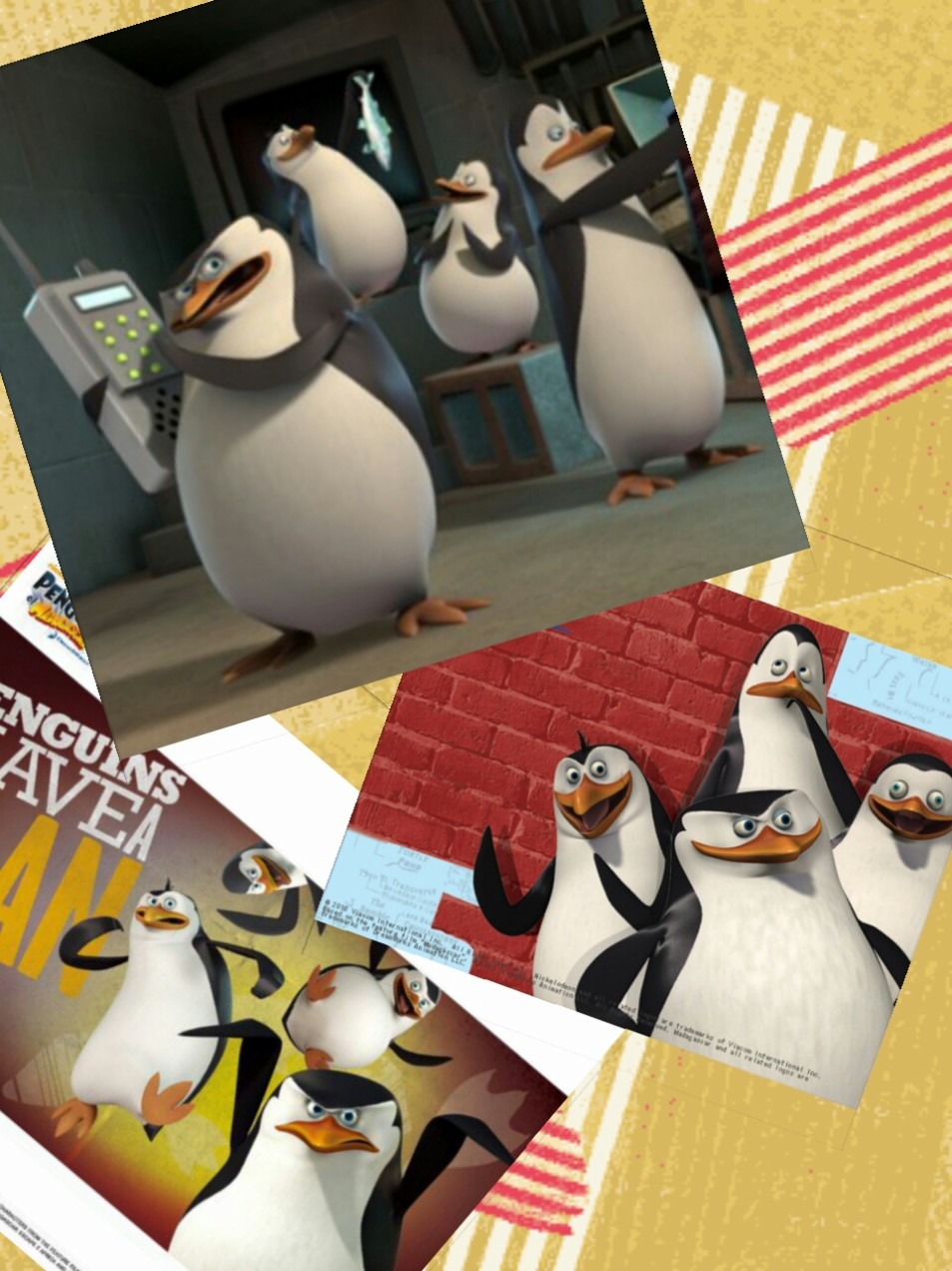 最高のコレクション ペンギンズ 壁紙 あなたのための無料のhd壁紙画像