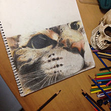 色鉛筆で描いたネコの画像(リアル絵に関連した画像)