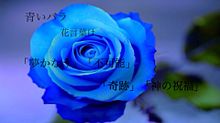 青いバラの画像(青いバラに関連した画像)