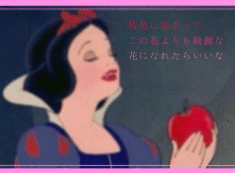桜の詩 / KANA-BOONの画像(プリ画像)