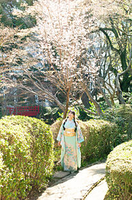 川﨑桜の画像(#川に関連した画像)