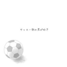 サッカーボール イラストの画像6点 完全無料画像検索のプリ画像 Bygmo