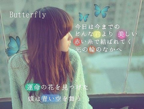 Butterflyの画像(プリ画像)