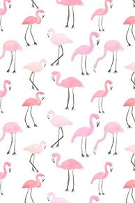 Iphone ピンク フラミンゴ 壁紙の画像5点 完全無料画像検索のプリ画像
