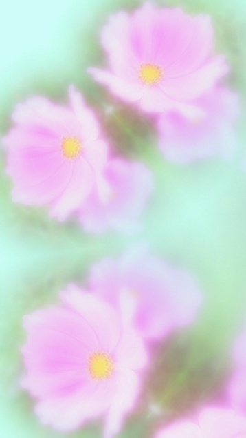 壁紙 桜の画像2510点 完全無料画像検索のプリ画像 Bygmo