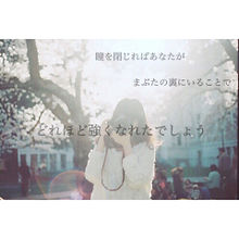 名言 景色 桜の画像3点 完全無料画像検索のプリ画像 Bygmo