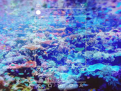 海の中 魚の画像48点 完全無料画像検索のプリ画像 Bygmo