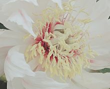 魅惑のぼたん。の画像(淡い花に関連した画像)