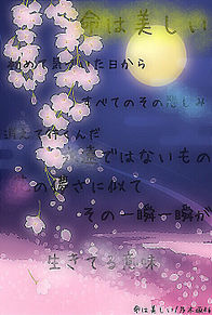 乃木坂46 命は美しい 歌詞の画像99点 完全無料画像検索のプリ画像 Bygmo