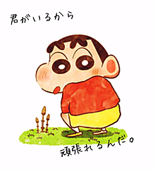 75 クレヨンしんちゃん 可愛いアイコン 最高の動物画像