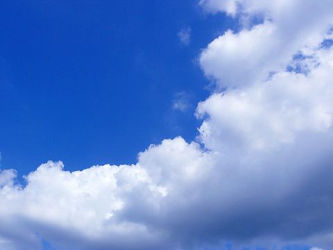詩.7『雲』の画像 プリ画像
