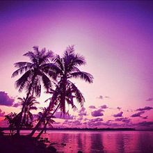ハワイ ピンク 景色の画像2点 完全無料画像検索のプリ画像 Bygmo