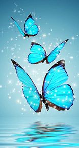 25 イラスト 幻想 的 蝶々