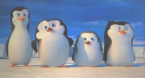 ディズニー ペンギンの画像100点 完全無料画像検索のプリ画像 Bygmo