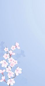 桜 パステル 春 素材 背景 かわいい 壁紙の画像5点 完全無料画像検索のプリ画像 Bygmo