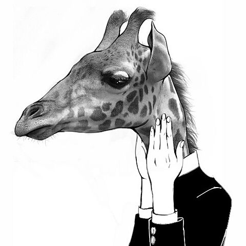 Giraffeモノクロきりんフリーアイコン 完全無料画像検索のプリ画像 Bygmo
