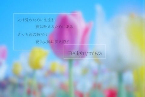 Delight/miwaの画像 プリ画像