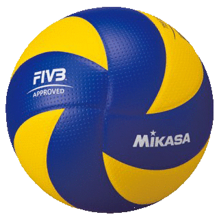 割引購入 ミカサ Mikasa フレーム fsphl バレーボール ボールカゴ