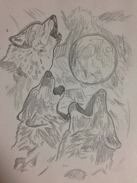 狼の画像 プリ画像