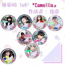 椿坂46  ファーストシングル  Camelliaの画像(坂道グループに関連した画像)
