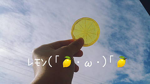 レモンの画像(プリ画像)