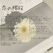 2nd coupling 『恋の階段』歌詞の画像(2ndに関連した画像)