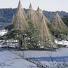 　金沢兼六園雪吊りの画像(兼六園 雪に関連した画像)