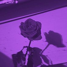 紫 おしゃれの画像3654点 40ページ目 完全無料画像検索のプリ画像 Bygmo