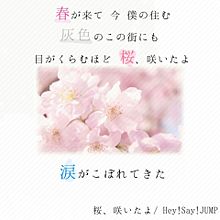桜、咲いたよ/ Hey!Say!JUMP