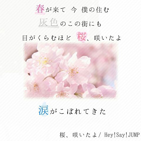 桜、咲いたよ/ Hey!Say!JUMPの画像 プリ画像