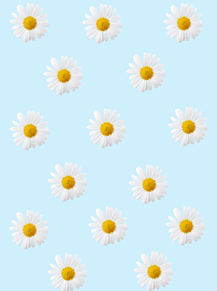 壁紙 水色 花柄の画像8点 完全無料画像検索のプリ画像 Bygmo