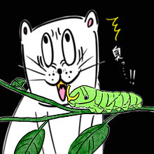 ネコくんと幼虫の画像(雑貨に関連した画像)