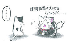 エラーネコと菊月ネコの画像(菊月に関連した画像)