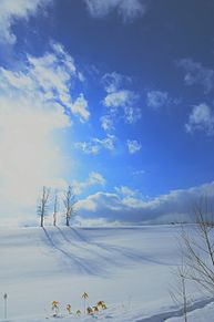 冬 雪 きれいの画像139点 完全無料画像検索のプリ画像 Bygmo