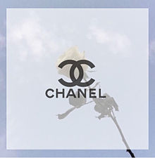 Chanel ブランドの画像845点 完全無料画像検索のプリ画像 Bygmo