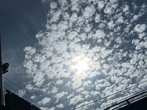 イワシ雲の画像(プリ画像)