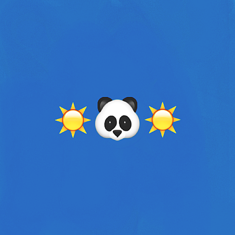 pandaの画像 プリ画像