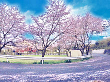 イラスト 春 桜 風景の画像14点 完全無料画像検索のプリ画像 Bygmo