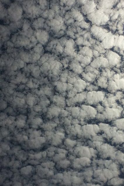 鱗雲の画像(プリ画像)