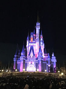 Disney 夜景の画像235点 完全無料画像検索のプリ画像 Bygmo