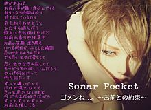 Sonar Pocket