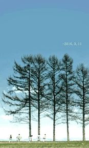 *未来は木に実るかな 2016.3.11 プリ画像