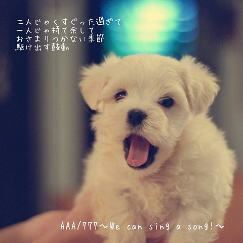 AAA/777〜We can sing a song!〜の画像(プリ画像)