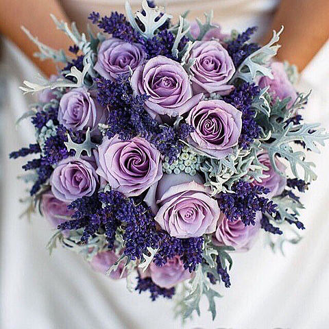 バラ 花束 紫の画像3点 完全無料画像検索のプリ画像 Bygmo