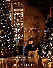 Harry Potterの画像(クリスマス キラキラに関連した画像)