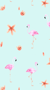 驚くばかりフラミンゴ 壁紙 おしゃれ 最高の花の画像