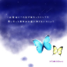 マダラ蝶の画像(両想い/両思いに関連した画像)