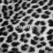 Chanel かわいい ヒョウ柄の画像6点 完全無料画像検索のプリ画像 Bygmo